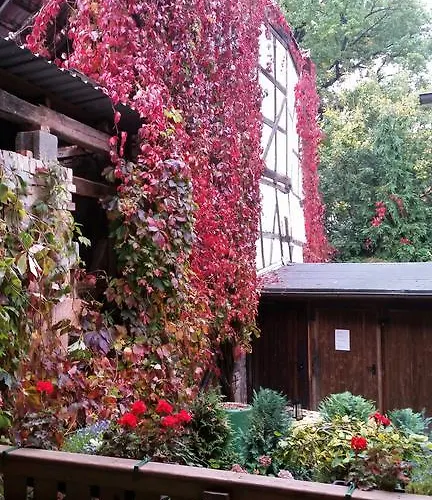 Lägenhet Word 5 Altstadt